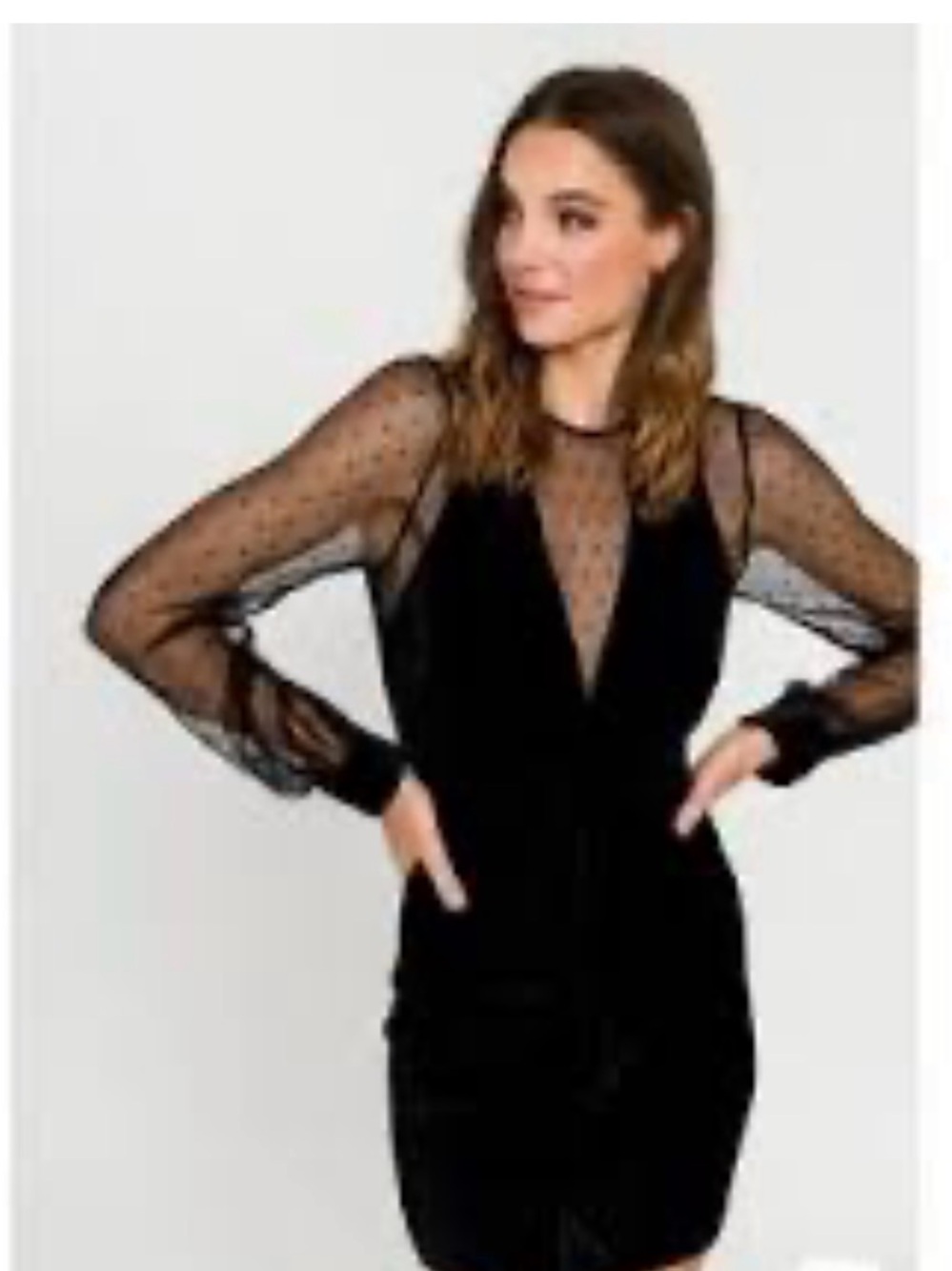 Endless Rose Black Sheer Dot Mesh Long Sleeve Top
